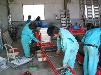 播種の様子