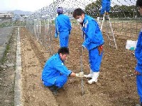 ハウス建設