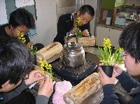 寄せ植え実習