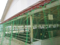 完成した防鳥ネット