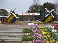 フラワーセンター