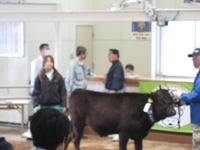 せり場