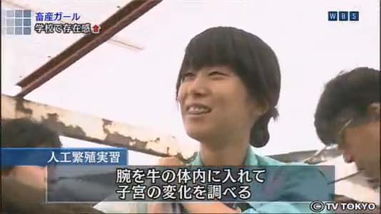 ＴＶ3