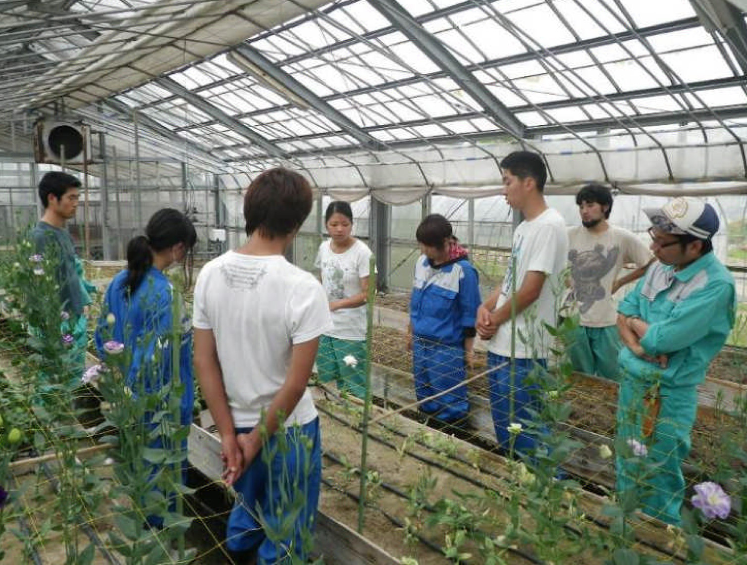 花き専攻での１年生２年生合同の卒論検討会