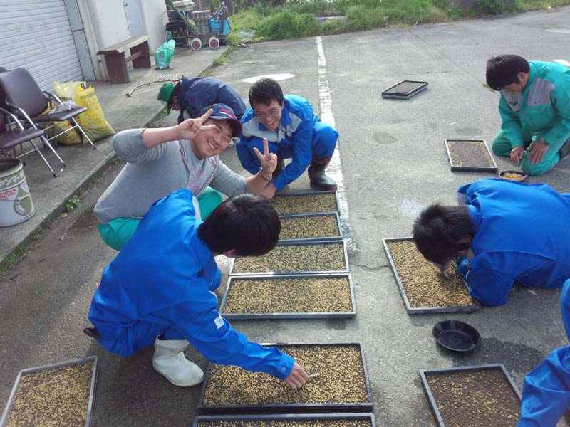 播種