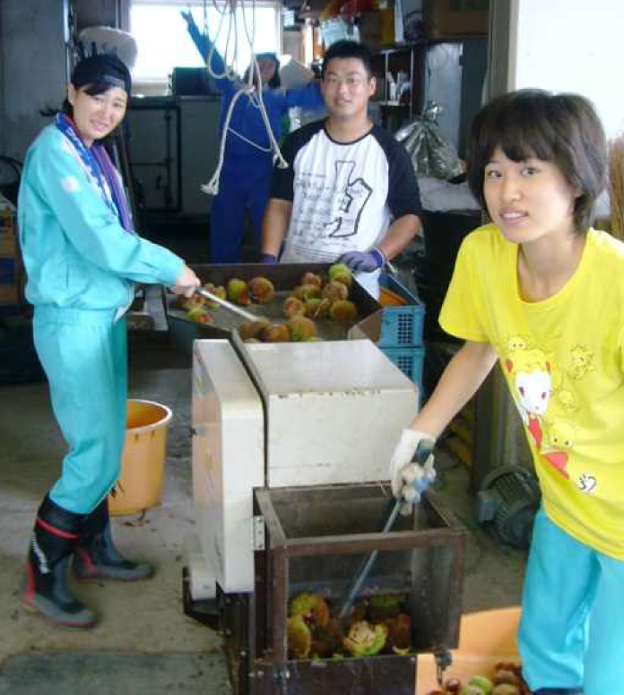 果樹３